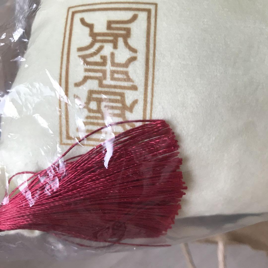 Amazon.co.jp: ばけねこぞろぞろ クッション 石黒亜矢子 : ホーム